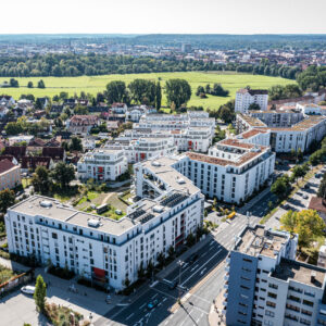 Kavierlein (September 2021)