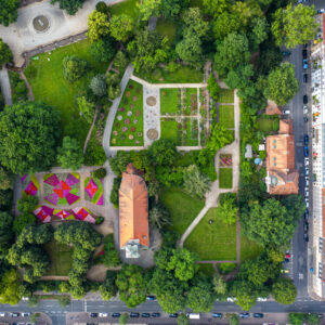 Stadtpark (Juni 2020)